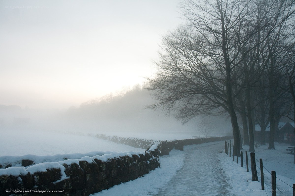 Snowy path in foggy landscape