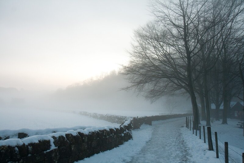 Snowy path in foggy morning