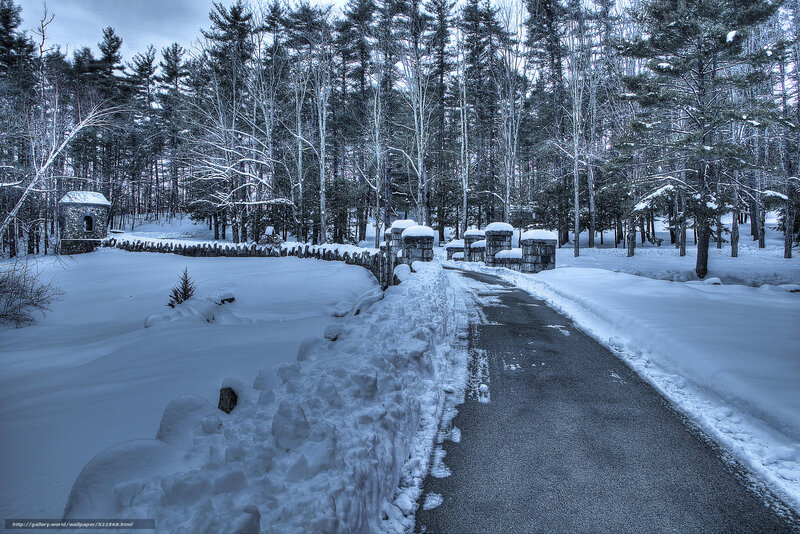 Snowy path in forest