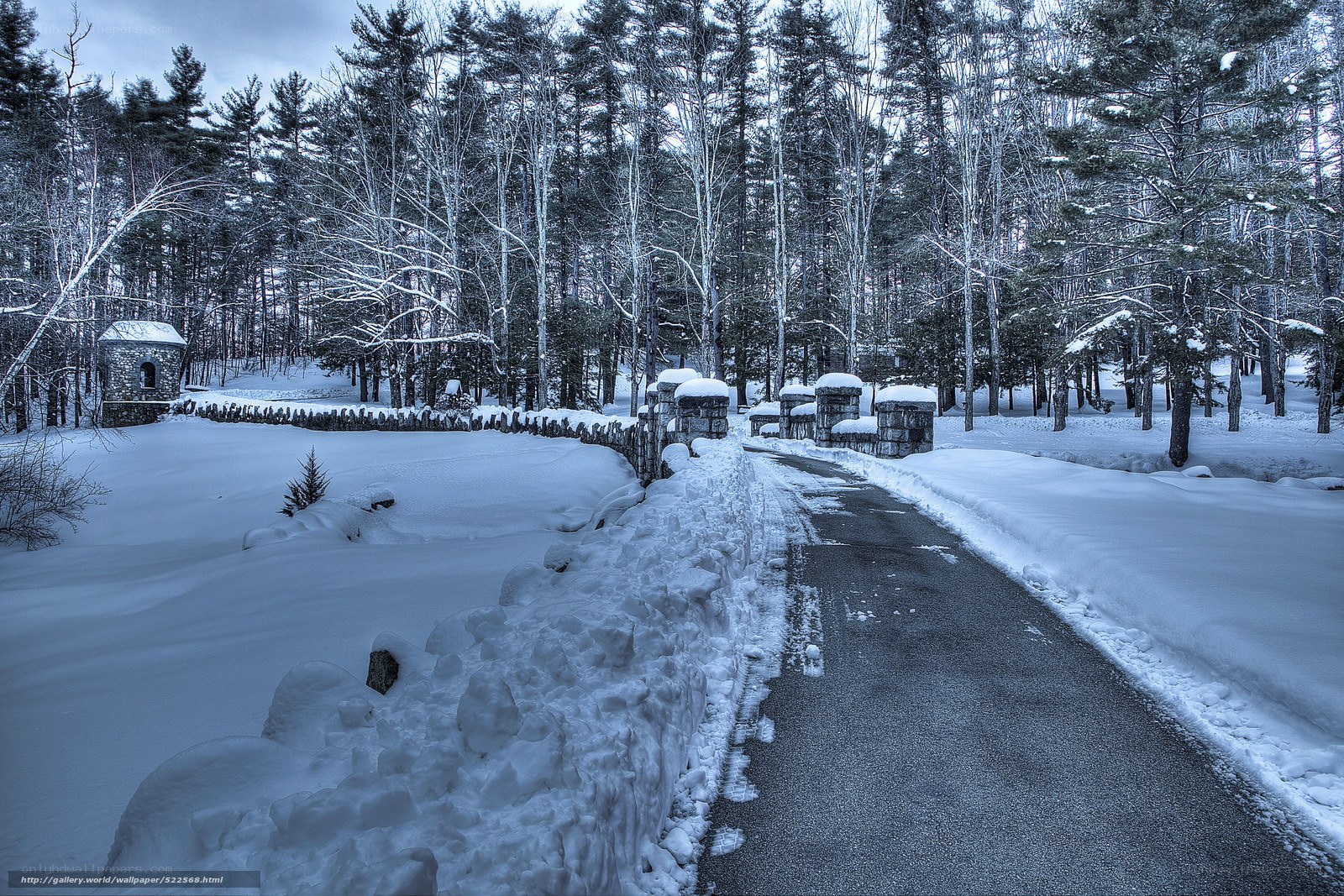 Snowy path in forest