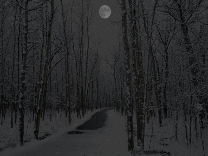 Snowy Path in Forest — Black