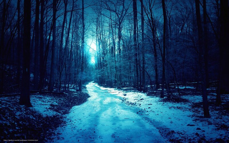 Snowy Path in Forest — Blue, Dark, Night
