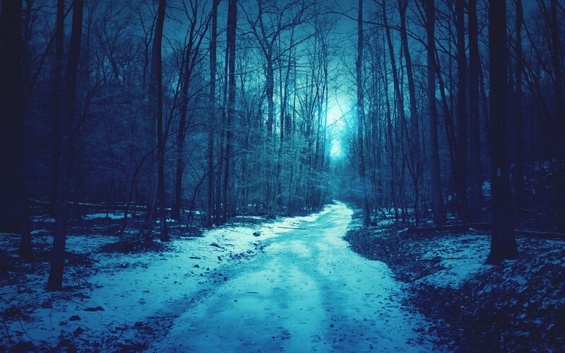 Snowy Path in Forest — Blue, Mysterious