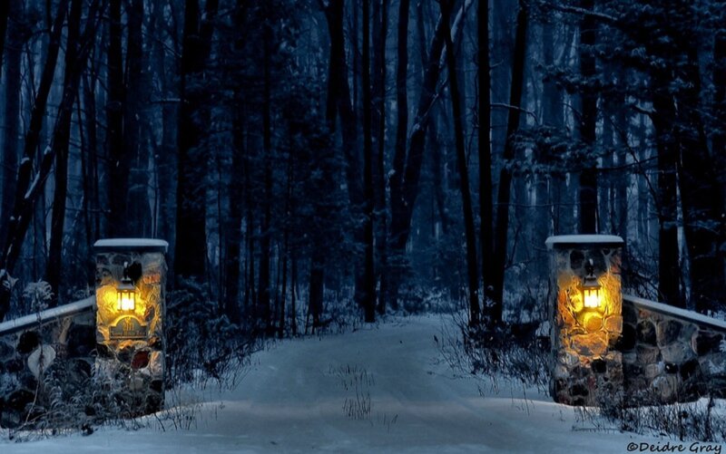 Snowy Path in Forest — Blue, Serene