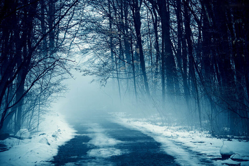 Snowy Path in Forest — Blue