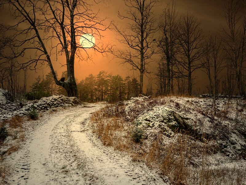 Snowy Path in Forest — Orange, Dramatic