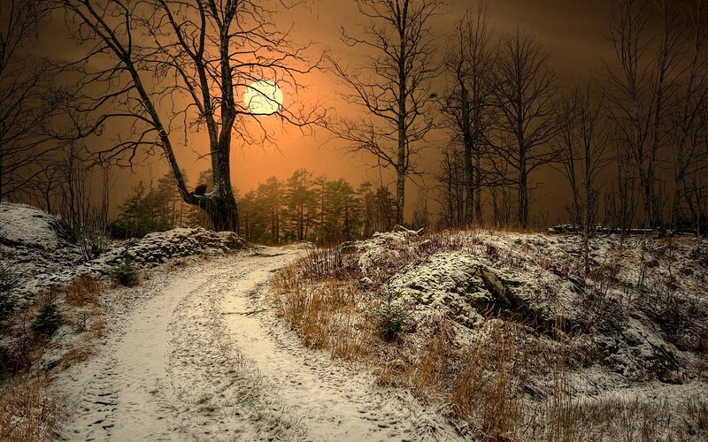 Snowy Path in Forest — Orange, Dramatic, Winter, Photograph