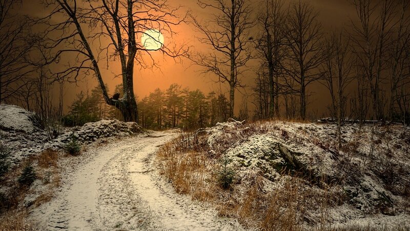 Snowy Path in Forest — Orange, Dramatic, Winter
