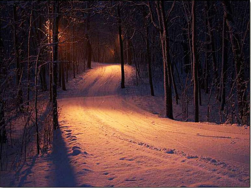 Snowy Path in Forest — Orange