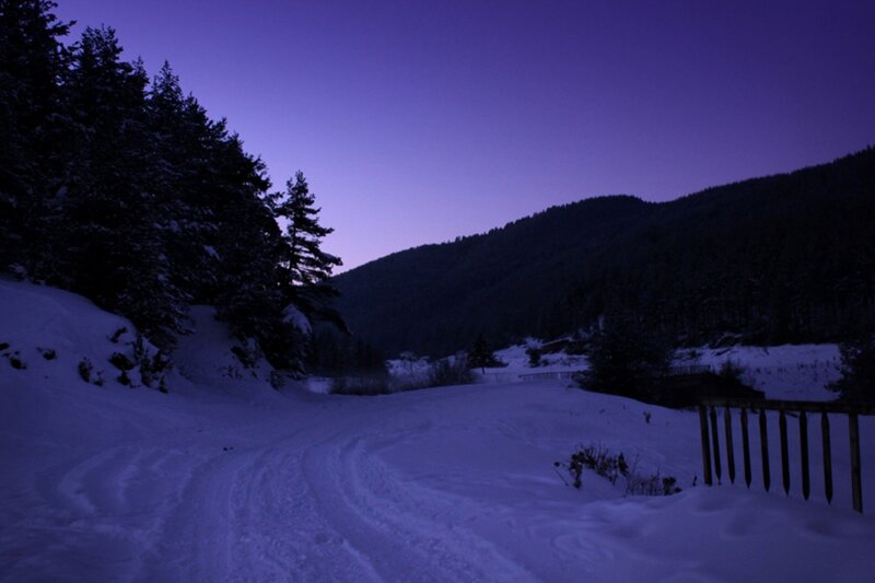 Snowy Path in Forest — Purple