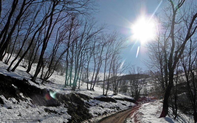 Snowy Path in Forest — White, Bright