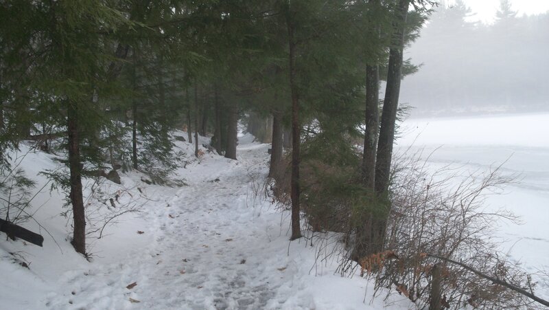 Snowy Path in Forest — White, Misty