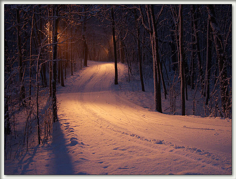 Snowy Path in Forest — White, Serene, Night