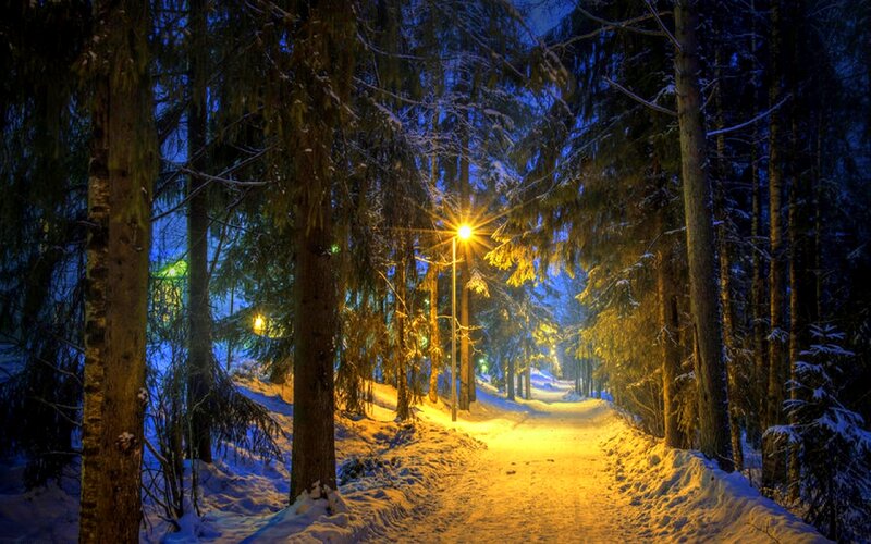 Snowy Path in Forest — Yellow, Serene