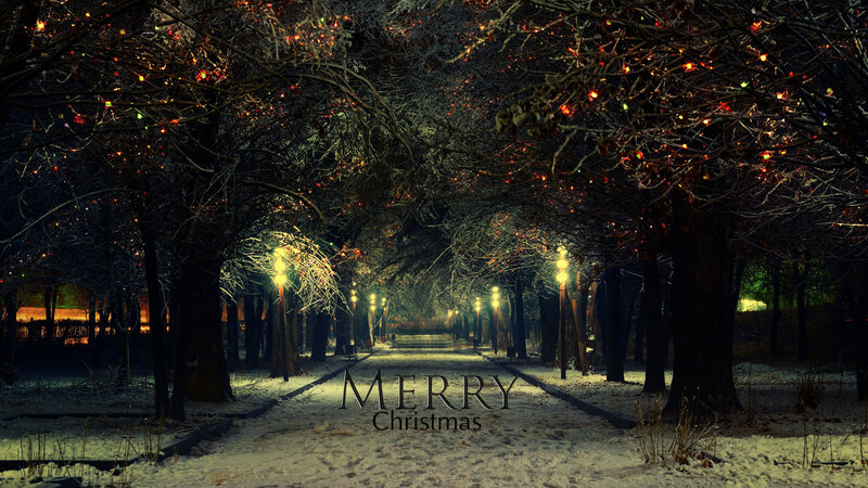 Snowy Path in Park — Black