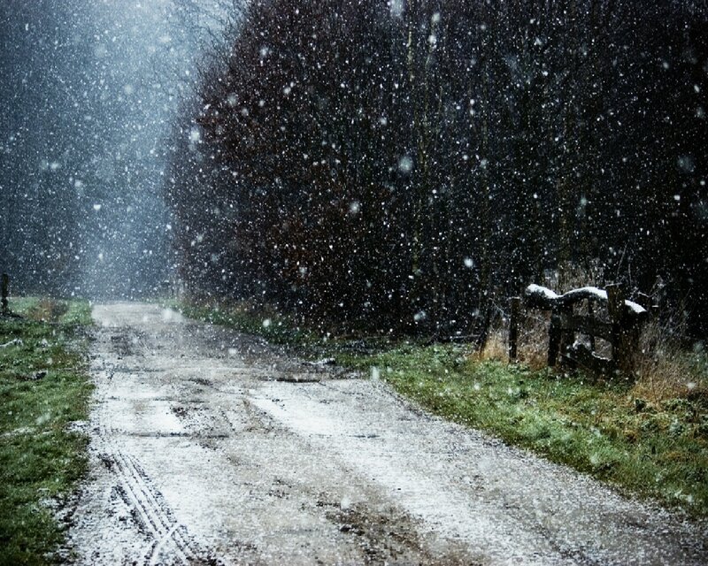 Snowy path in the forest
