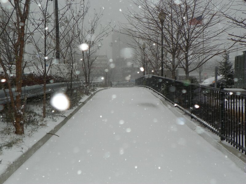 Snowy path in urban park