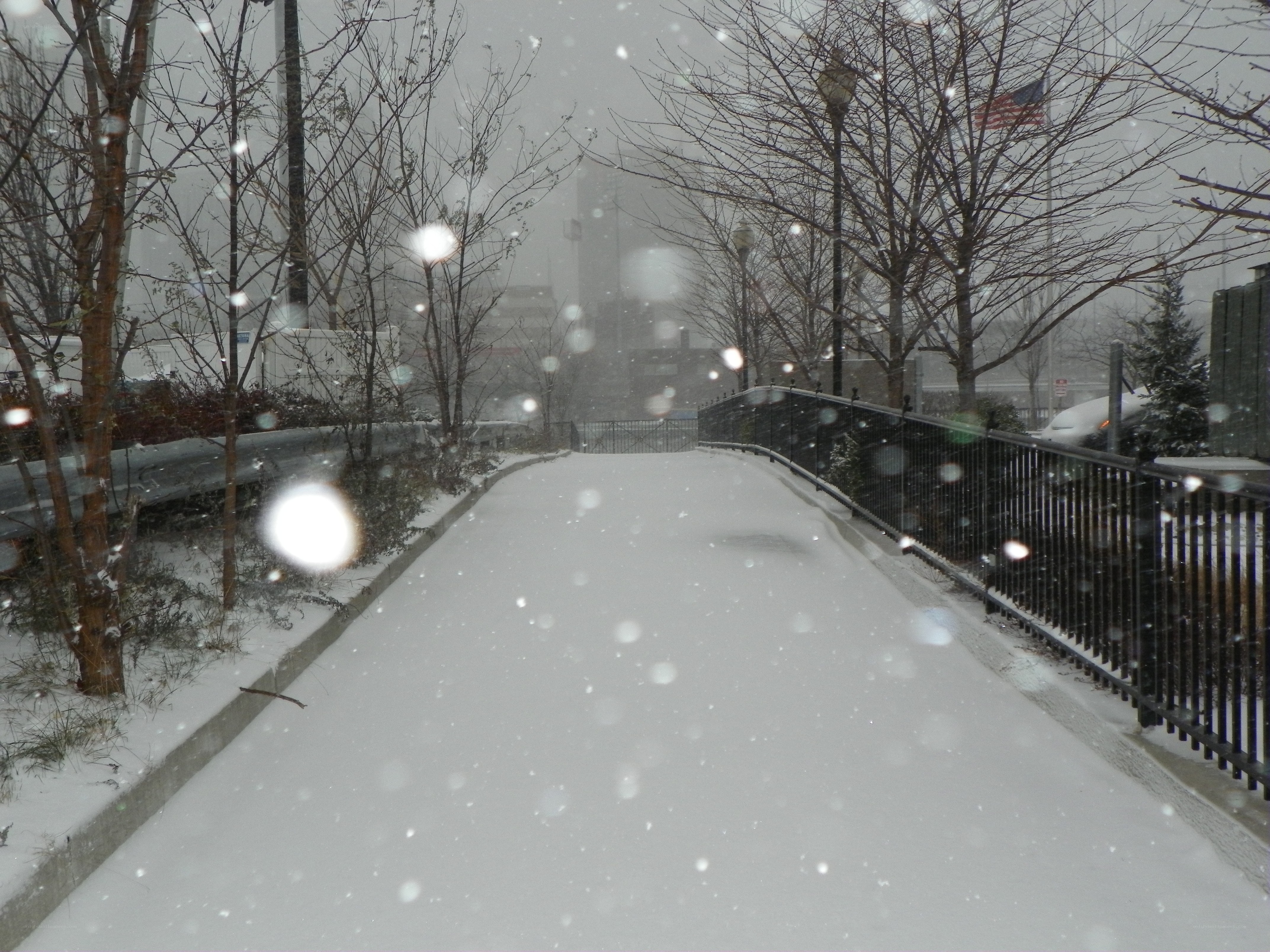 Snowy path in urban park