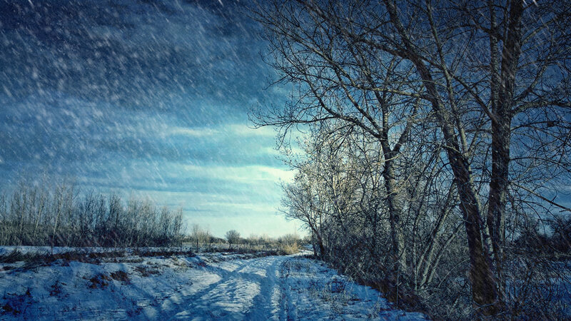 Snowy Path in Winter — Blue, Cold