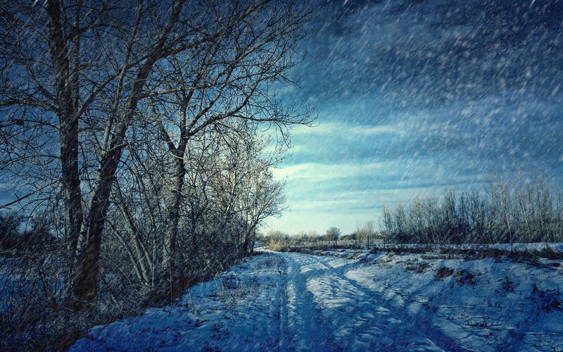Snowy Path in Winter — Blue