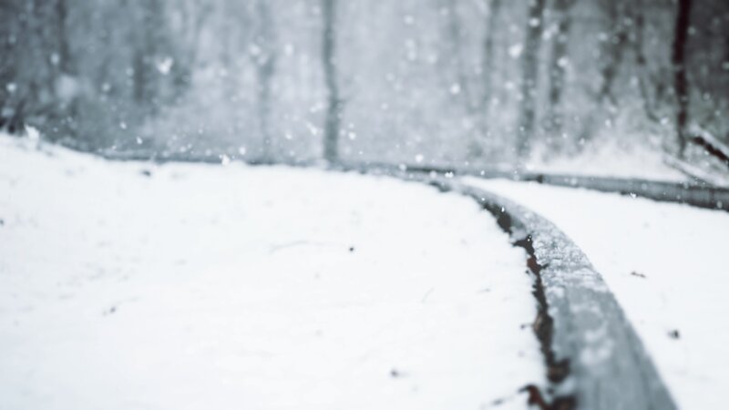 snowy path in winter forest
