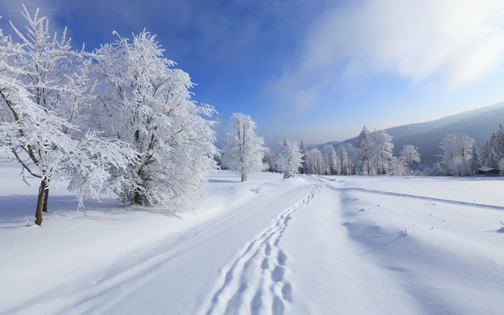 Snowy path in winter landscape