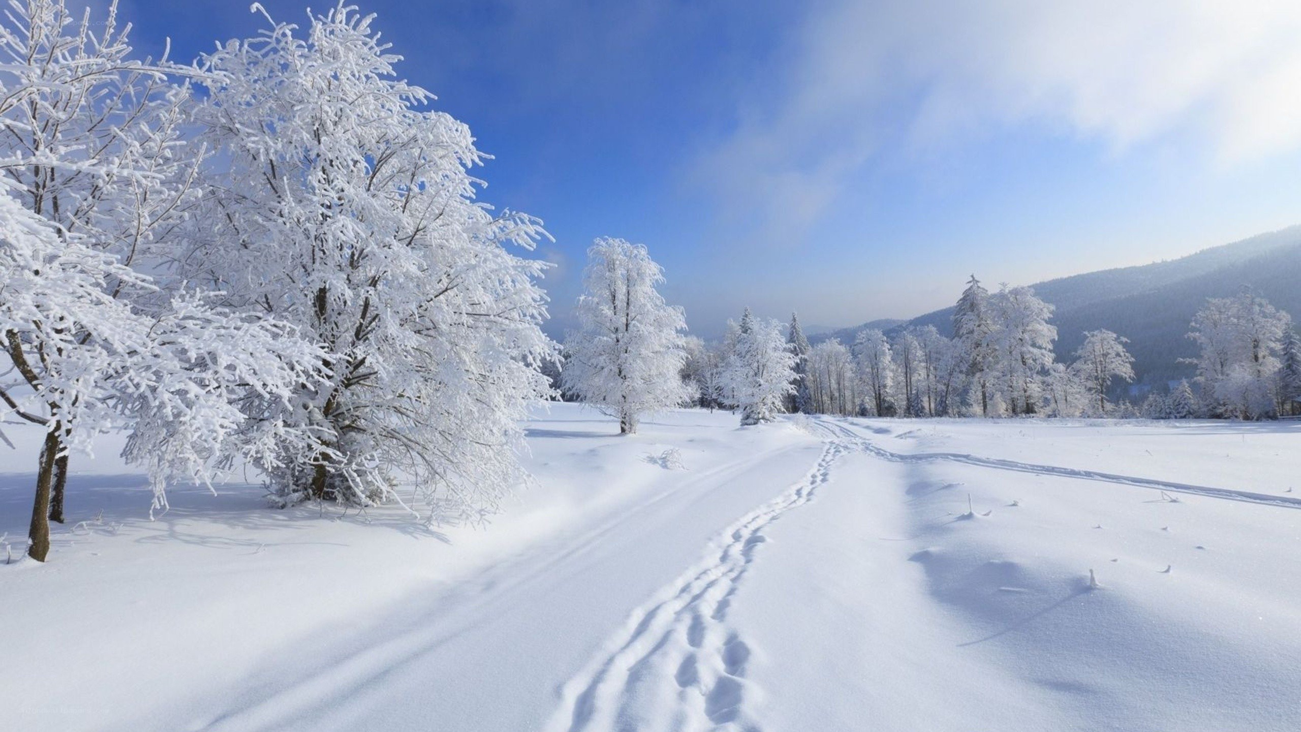 Snowy path in winter landscape