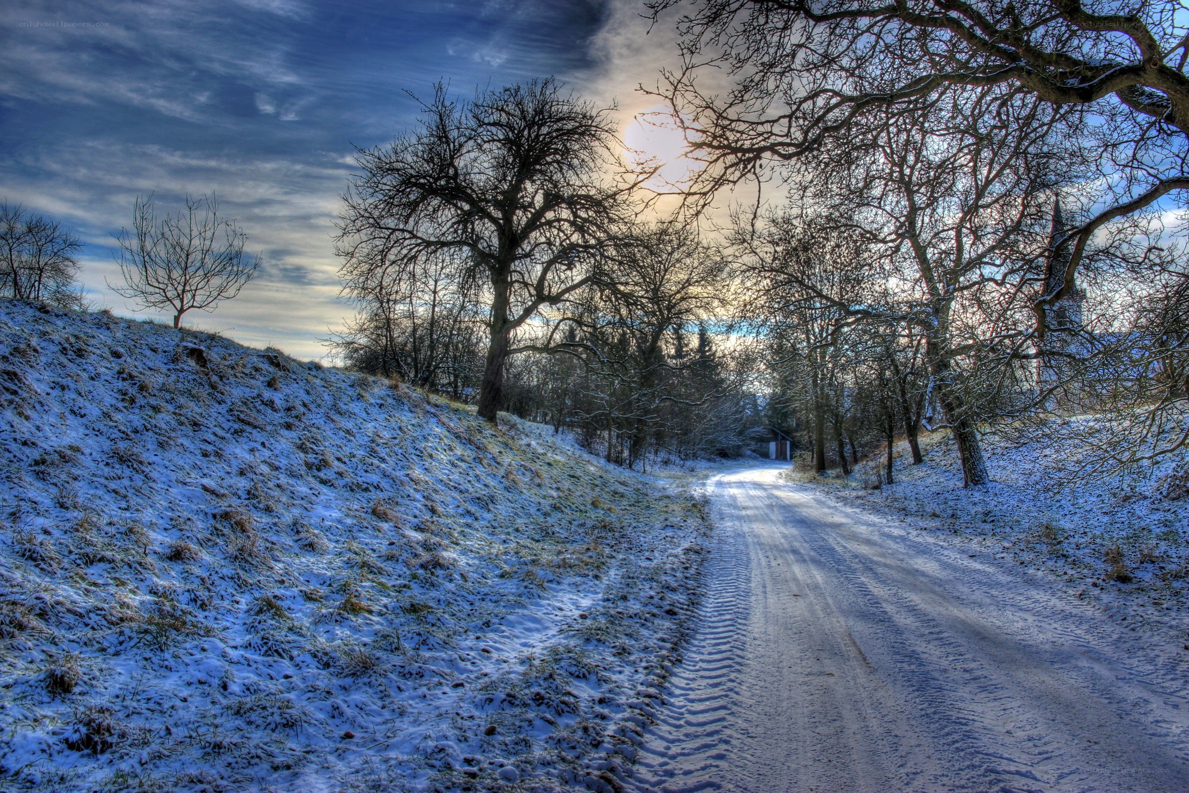 Snowy path in winter landscape