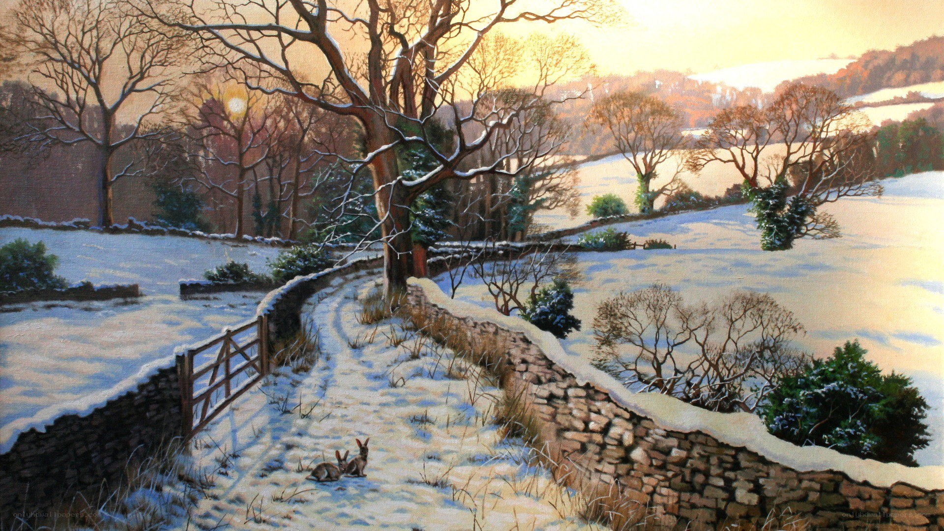 Snowy Path in Winter Landscape