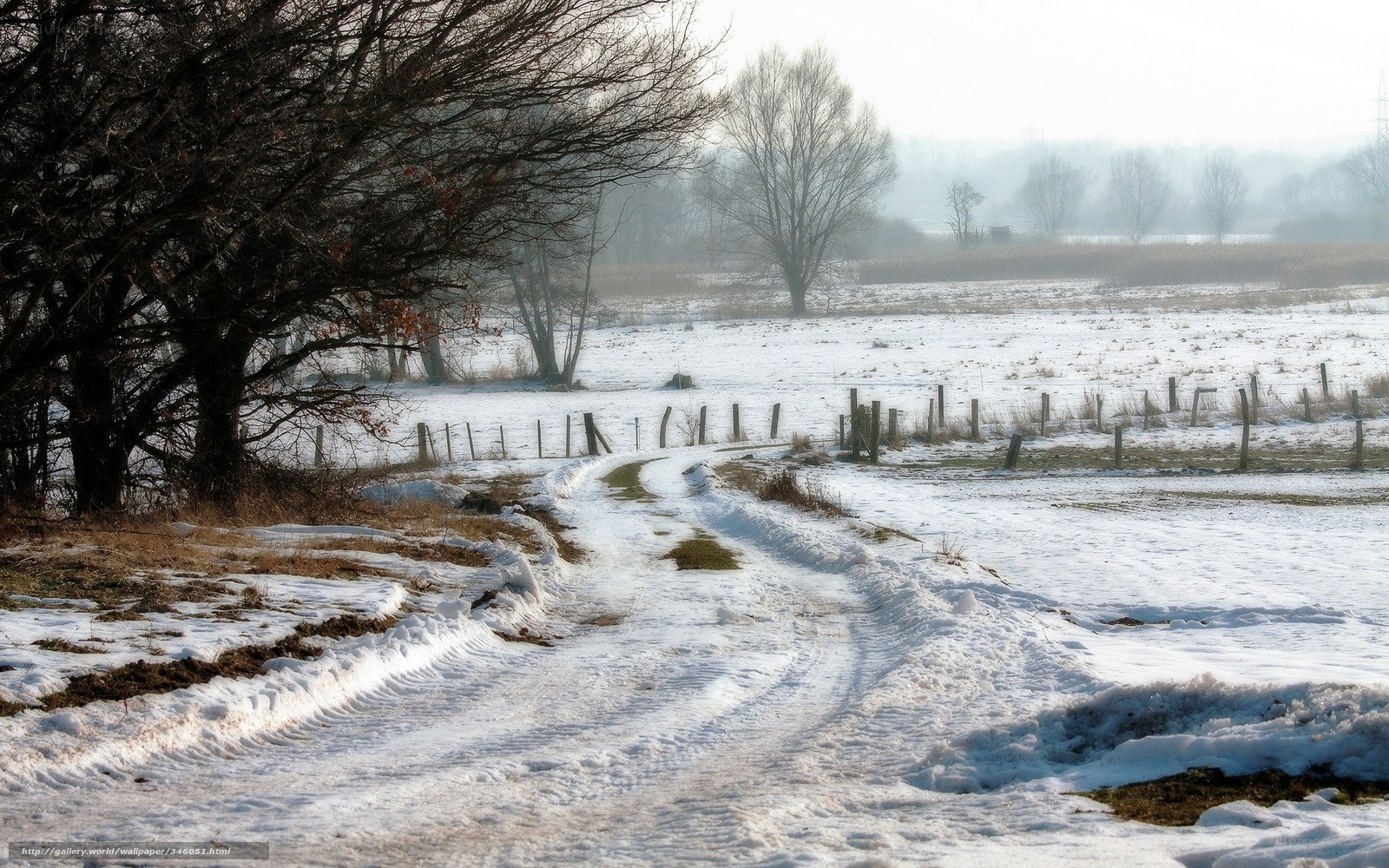 Snowy path in winter landscape