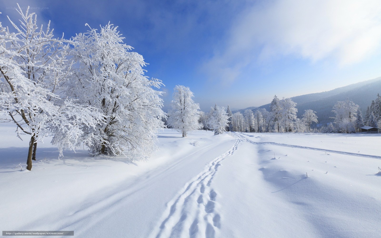 Snowy path in winter landscape