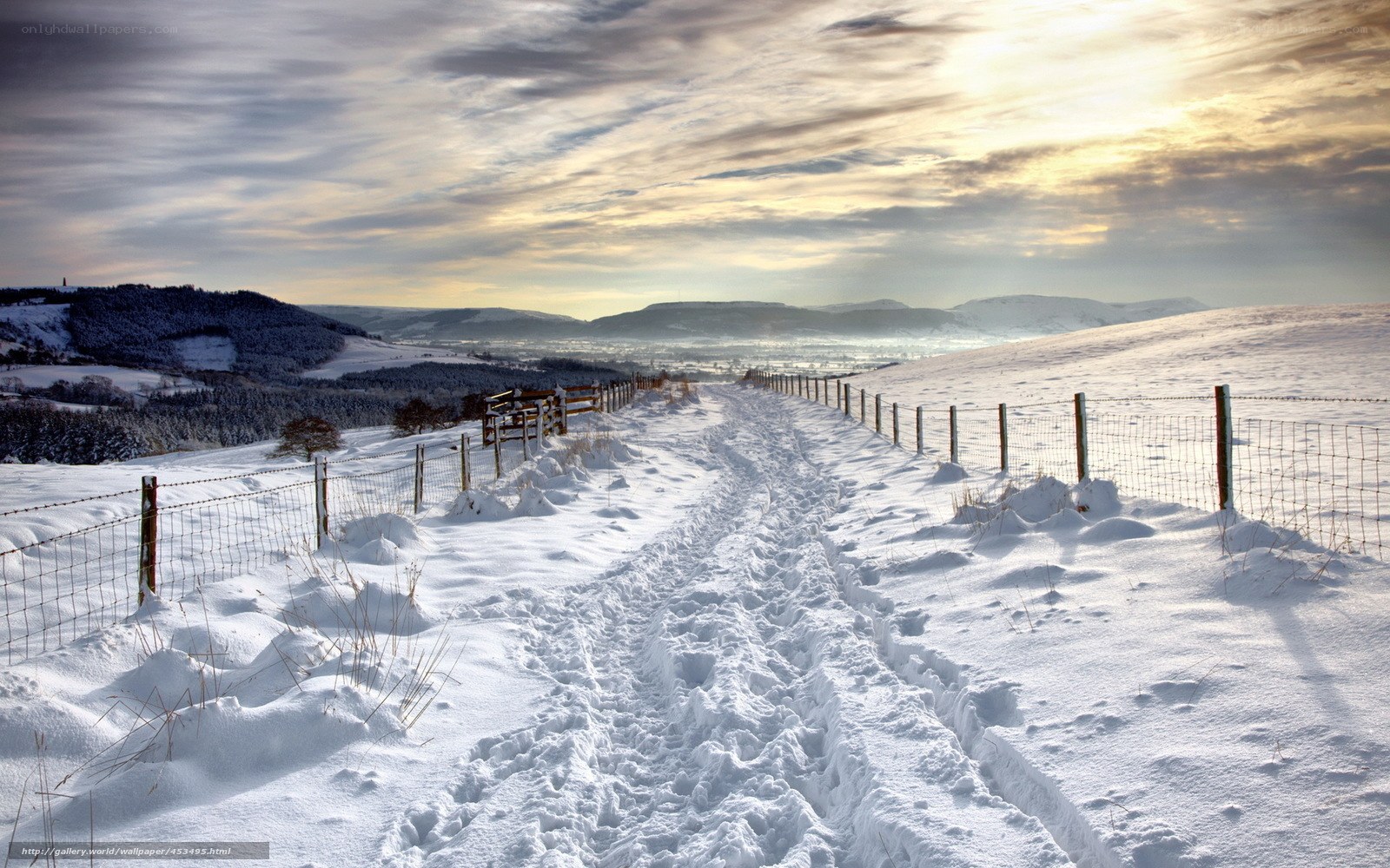 Snowy path in winter landscape