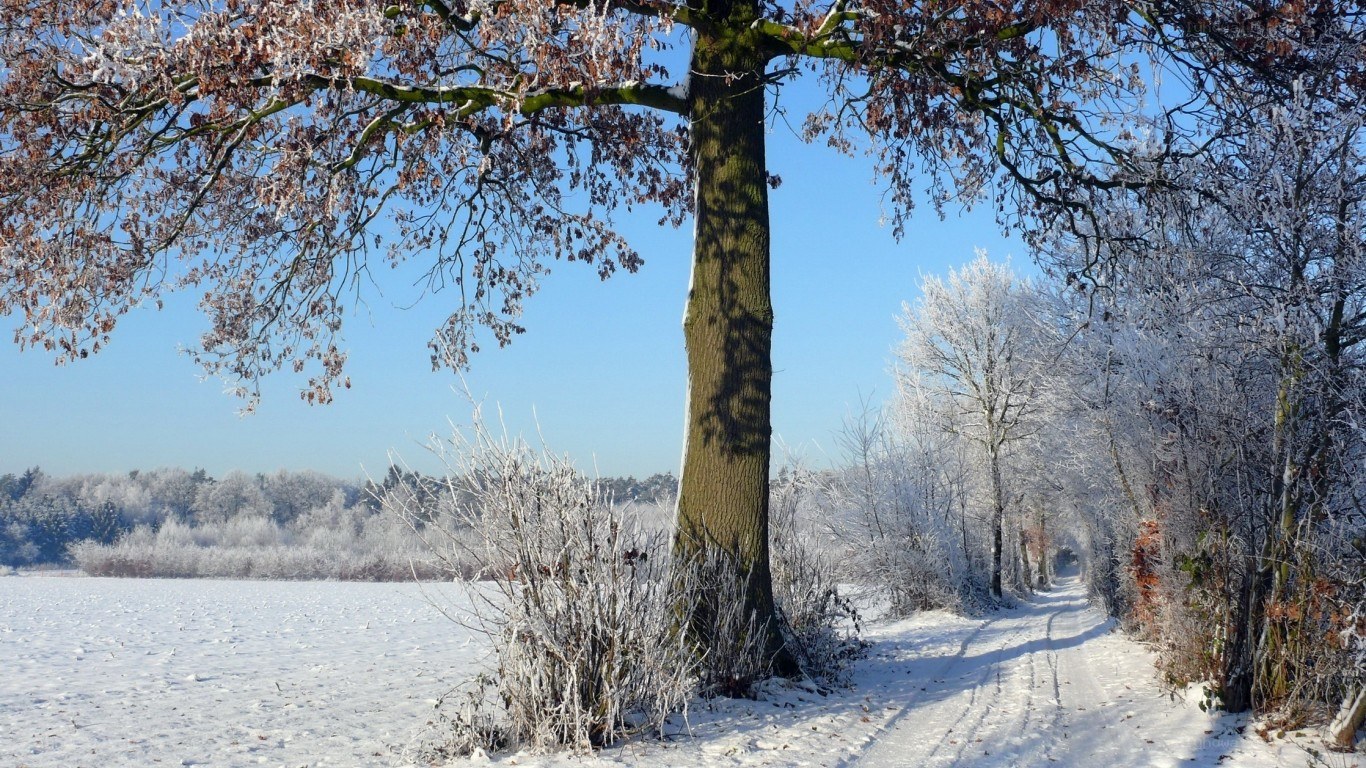 Snowy path in winter landscape