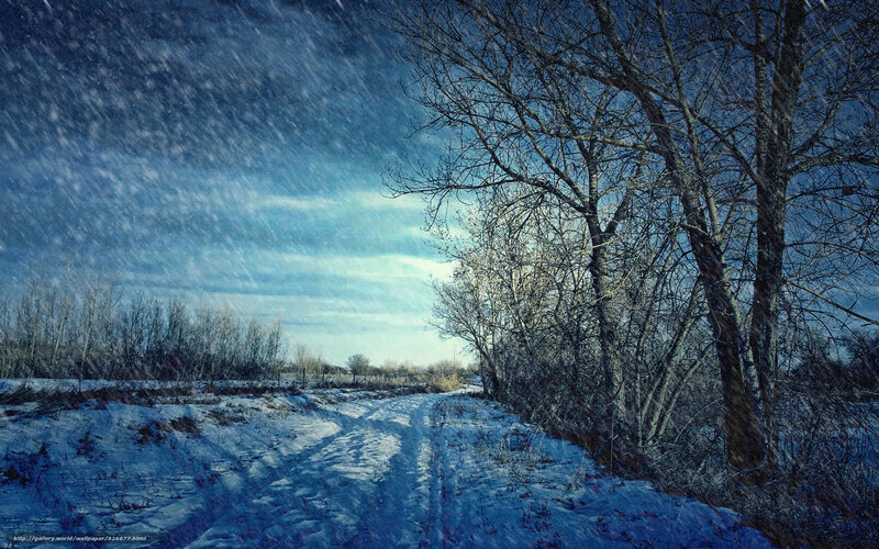 Snowy path in winter landscape