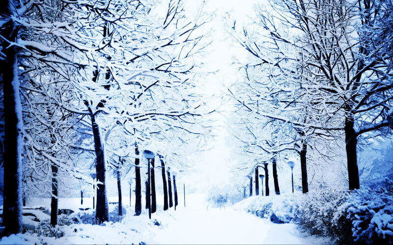 Snowy path in winter park