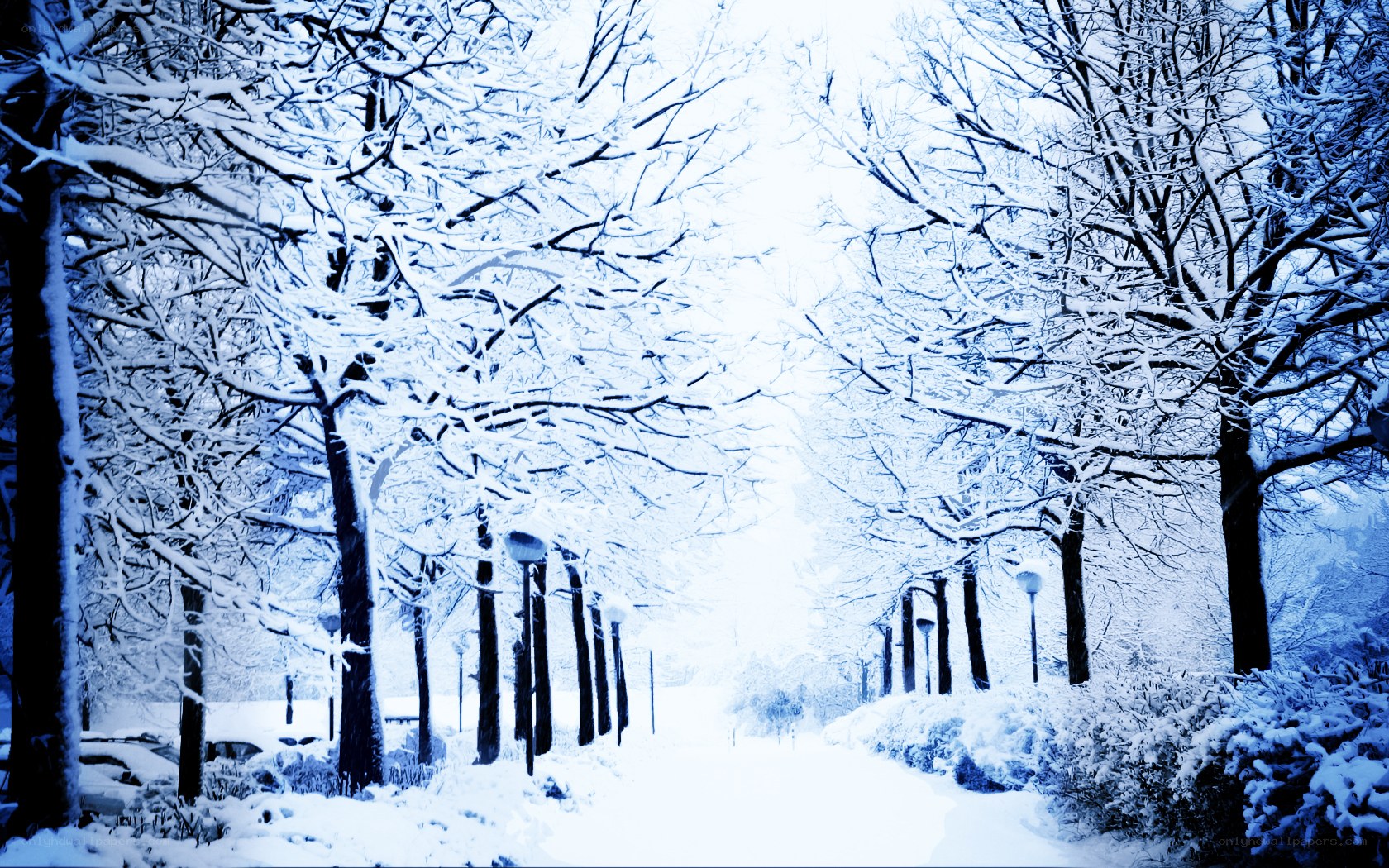 Snowy path in winter park