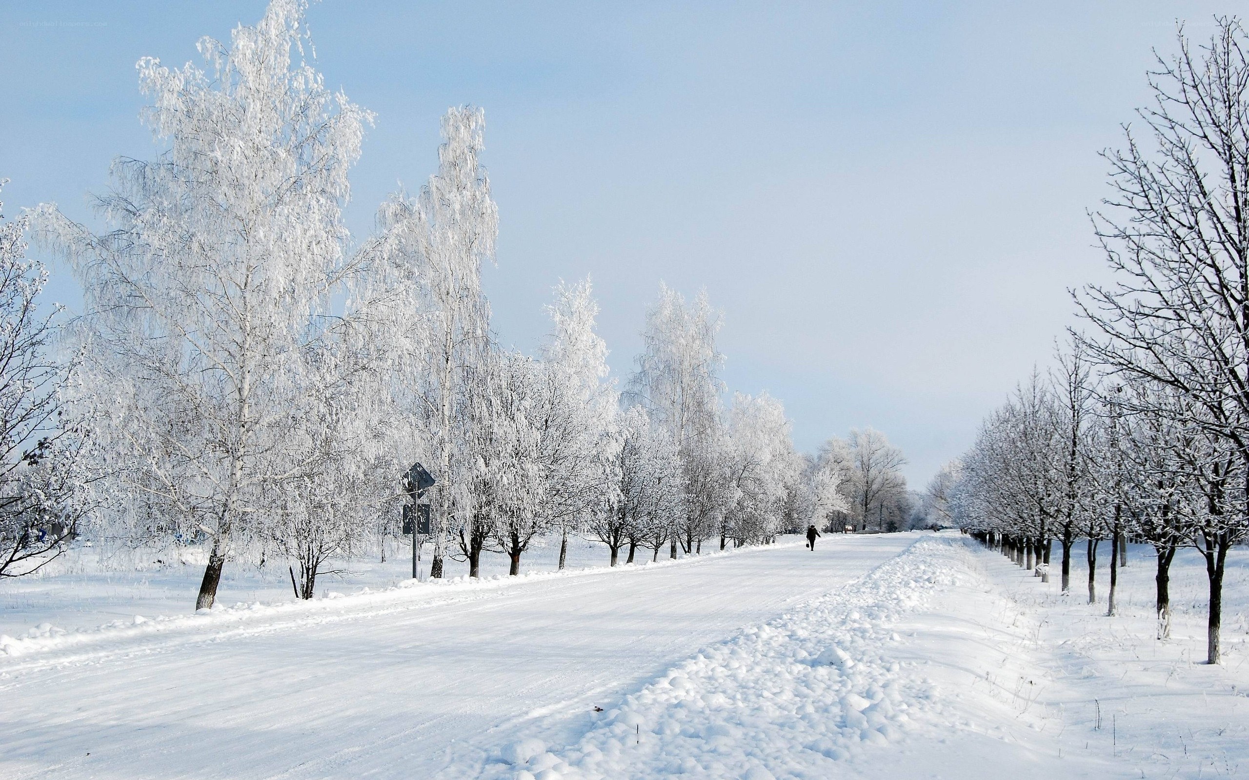 Snowy path in winter park