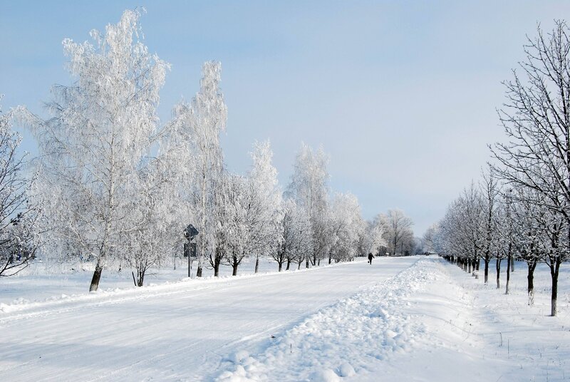 Snowy path in winter park