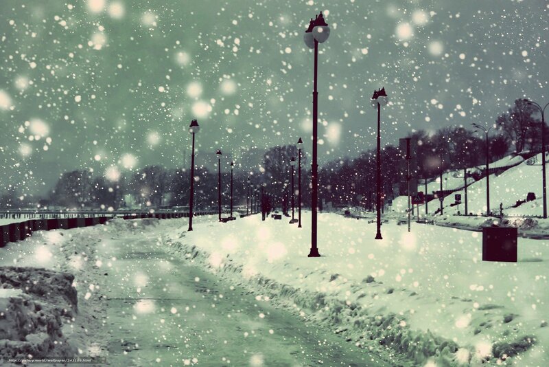 Snowy Path in Winter