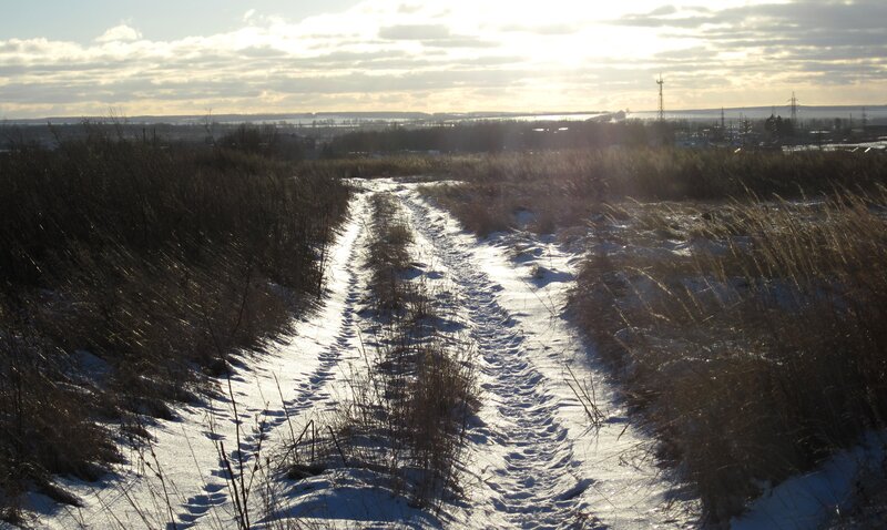 Snowy Path in Winter — White, Serene