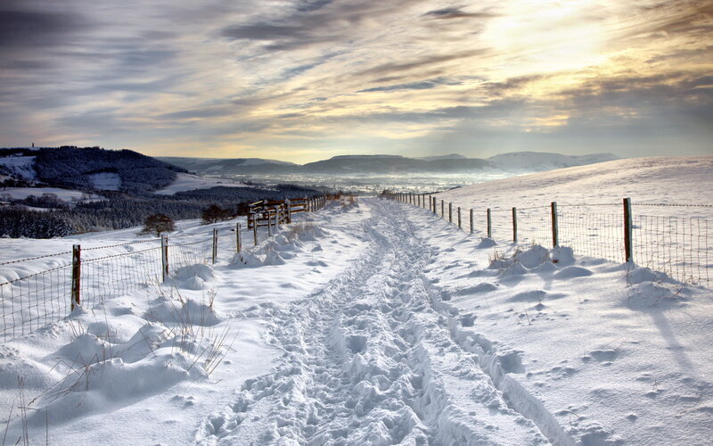 Snowy Path in Winter — White