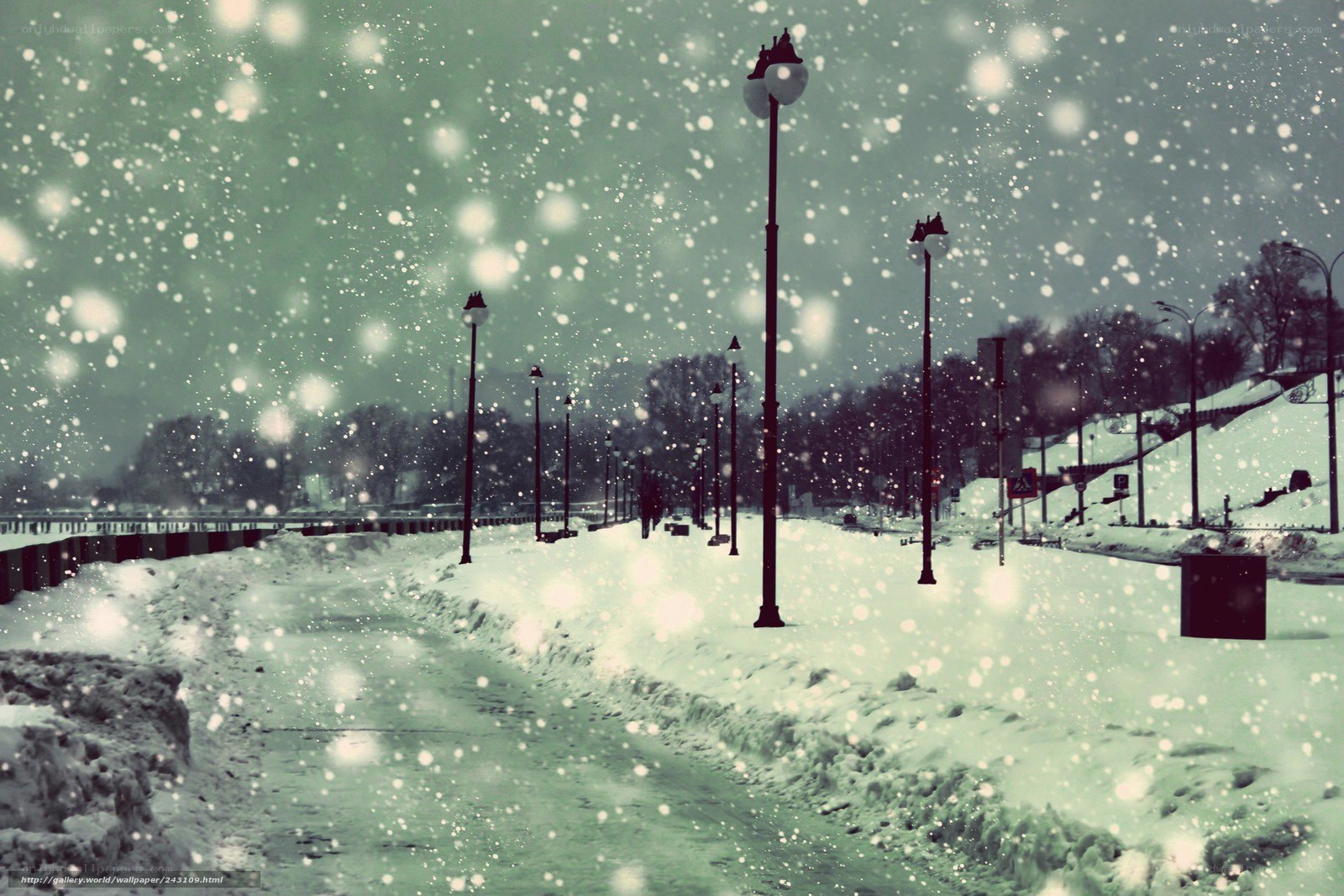 Snowy Path in Winter