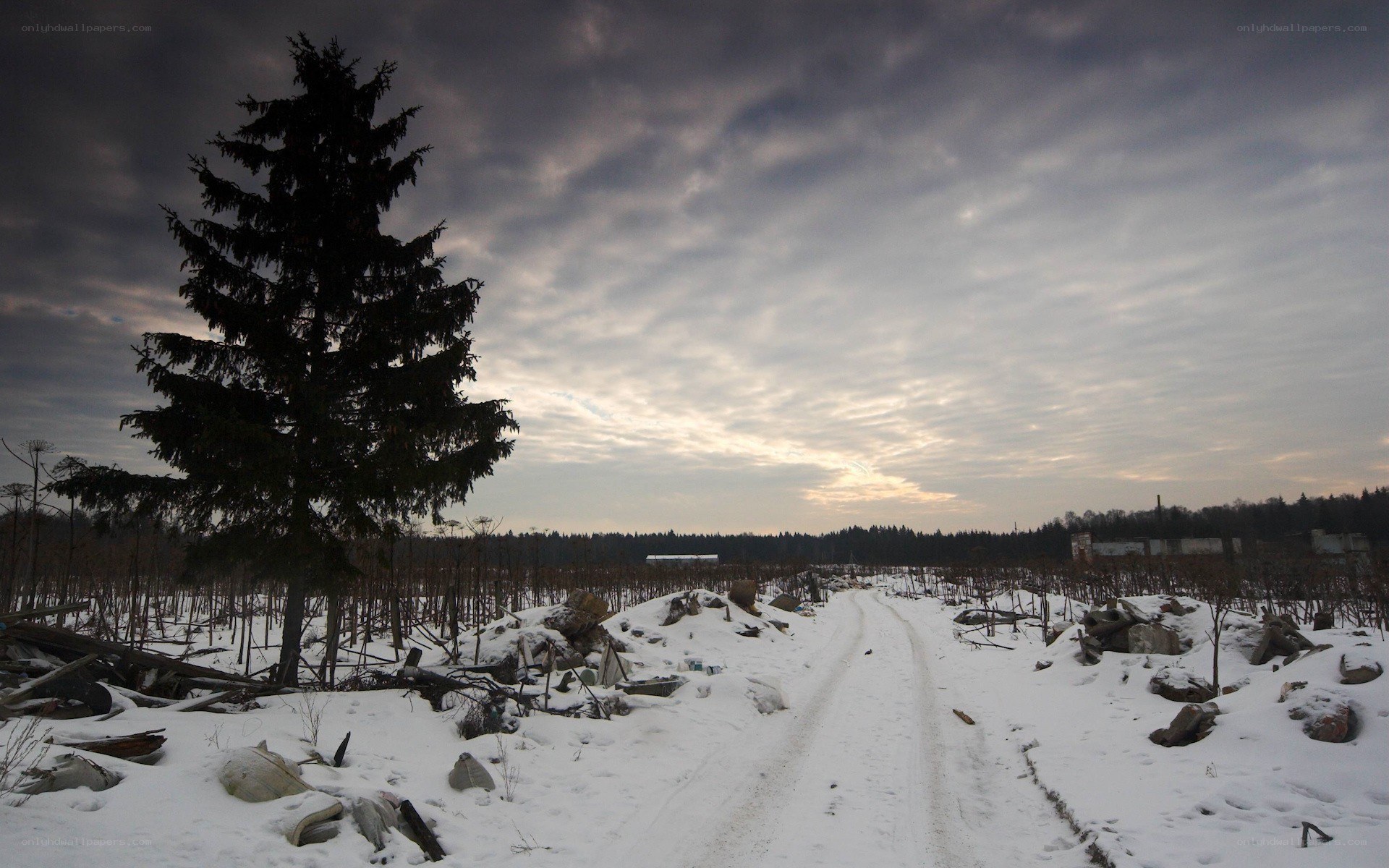 Snowy path through a forest clearing