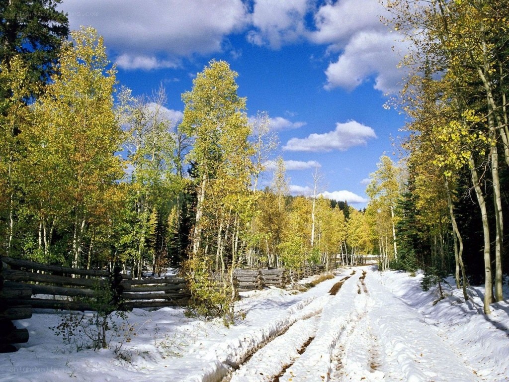 Snowy path through autumn forest