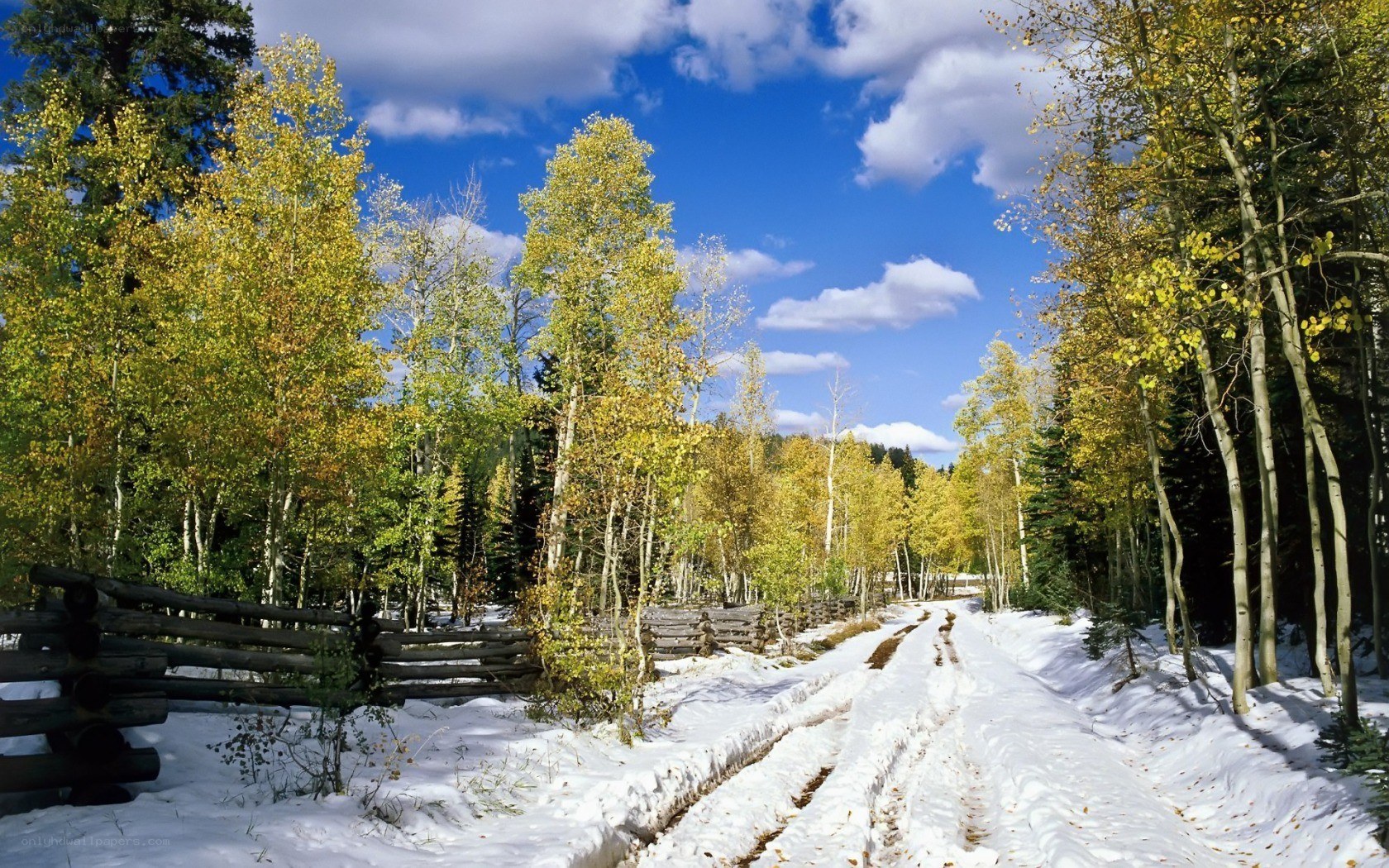 Snowy path through autumn forest