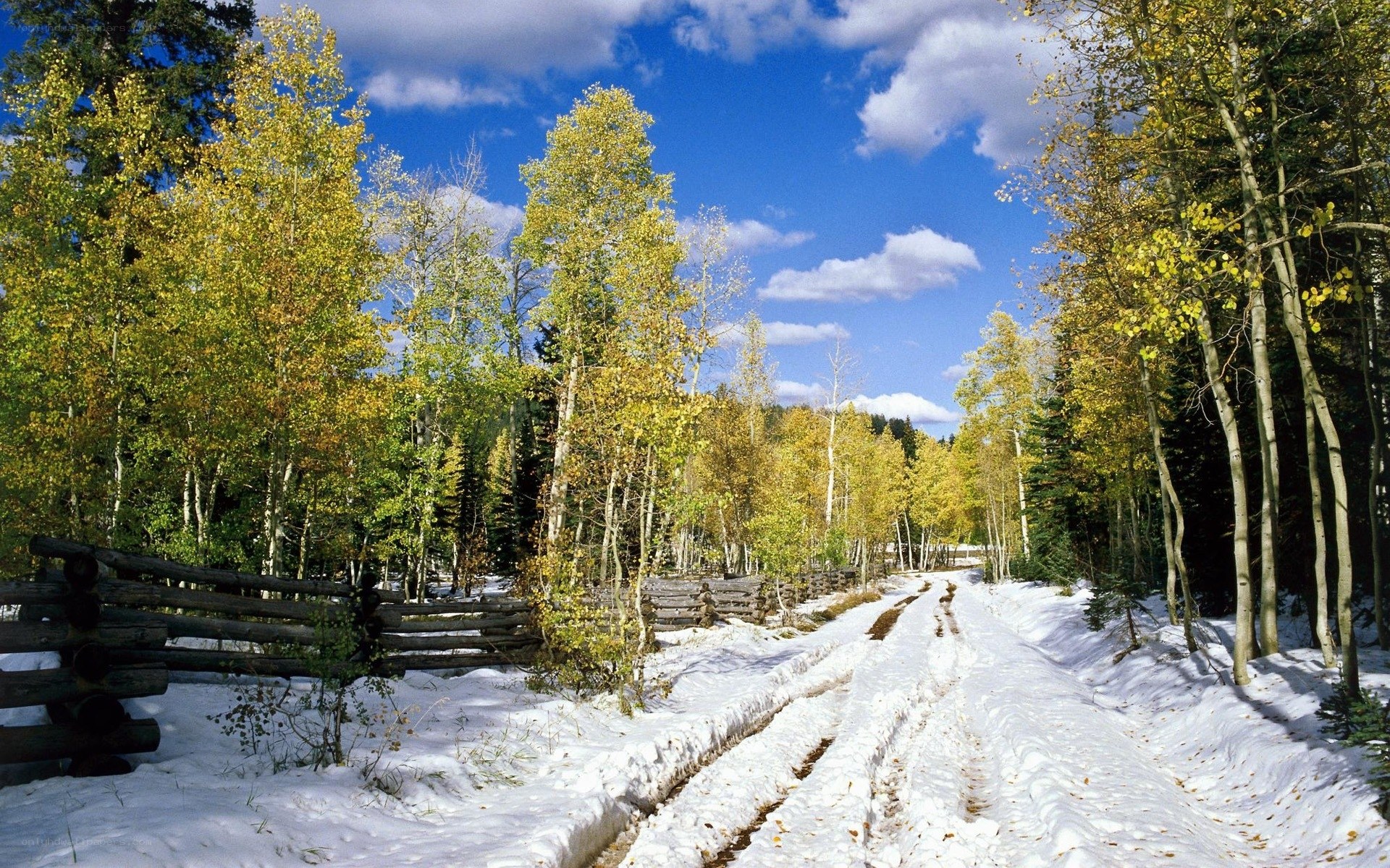 Snowy path through autumn forest