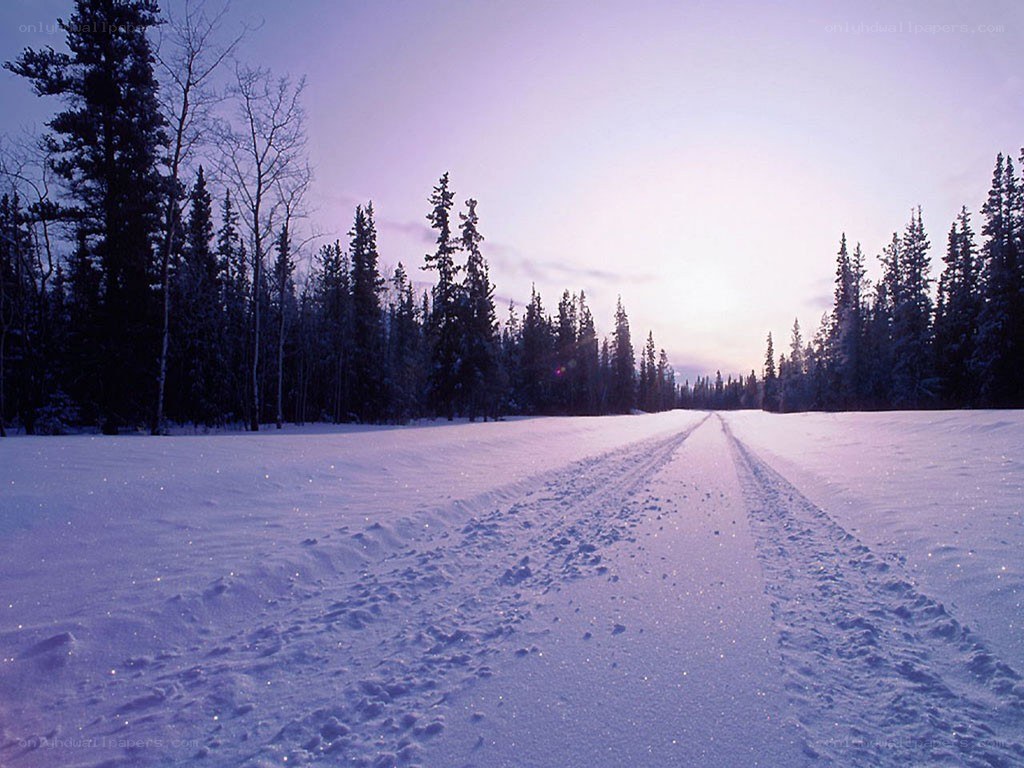 Snowy path through forest at dusk