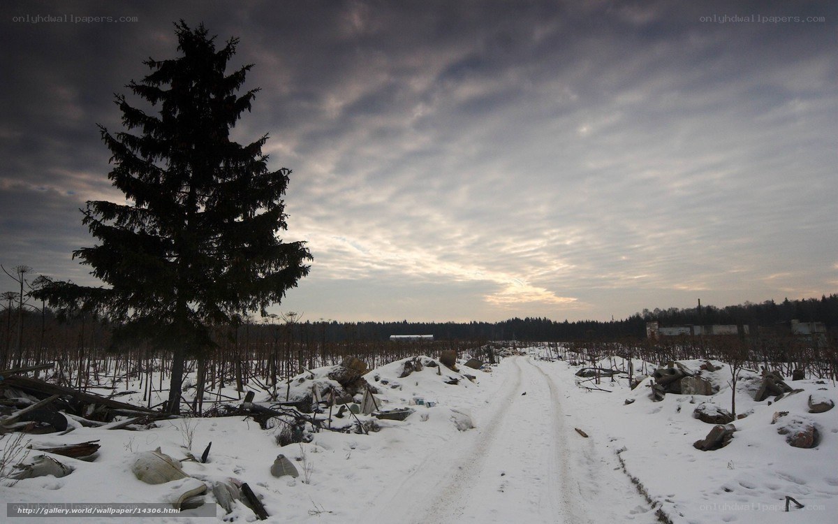 Snowy path through forest clearing