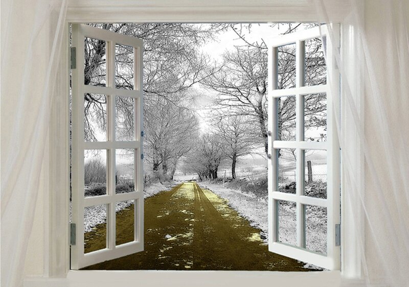 Snowy Path Through Trees — White