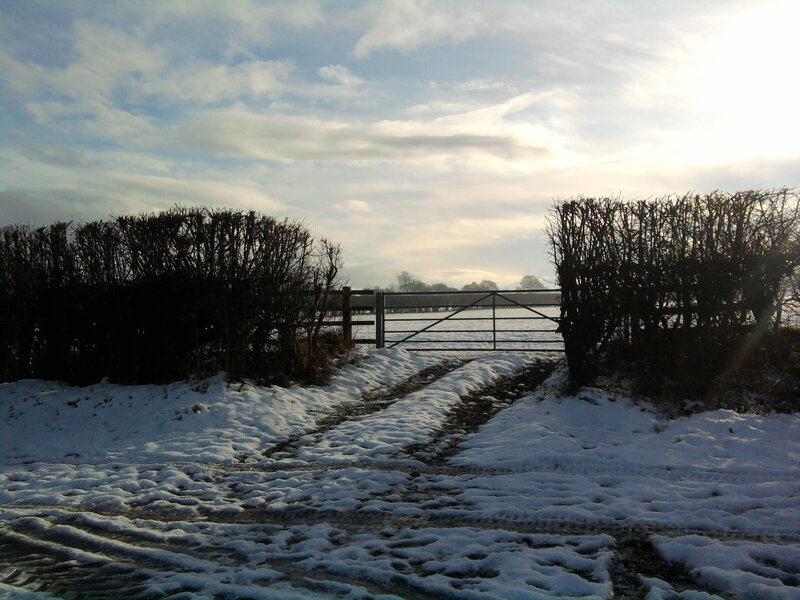 Snowy path to a gate